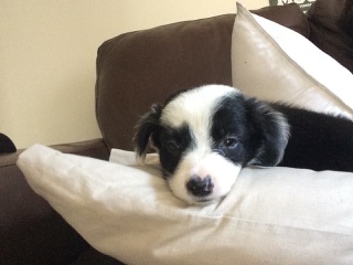 zzzz