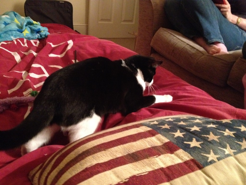 Sadie's favourite pastime is hunting people.