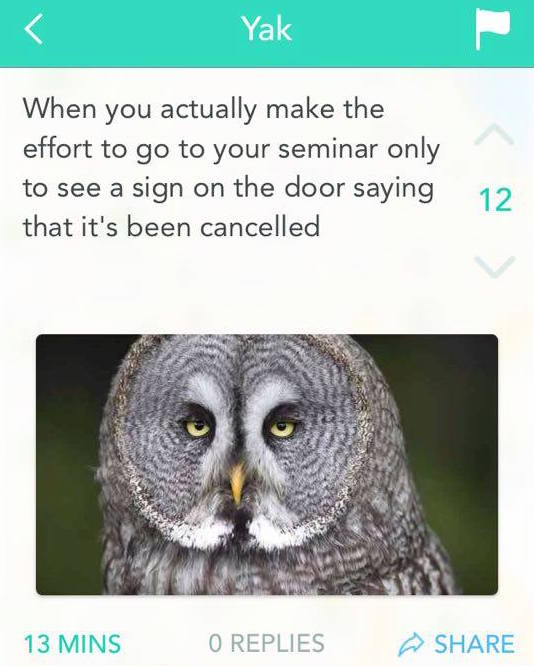 At least you tried