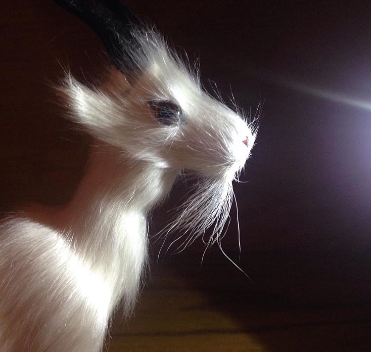 The camera loves him, and so do we!