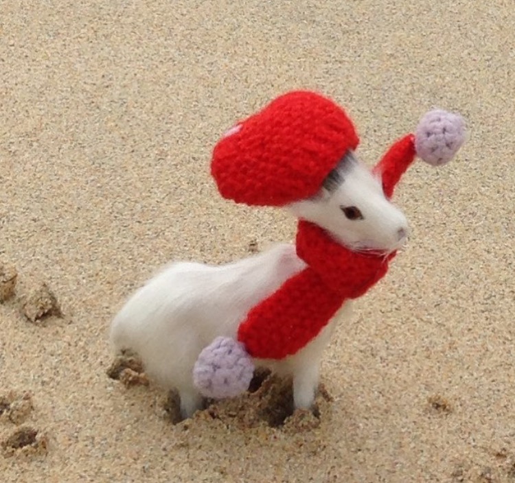Such a majestic lil' guy