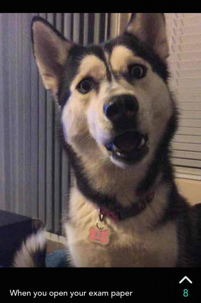 At least you look cute