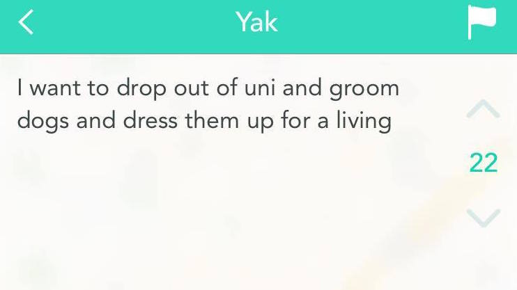 Who wants a degree when you can have dogs?