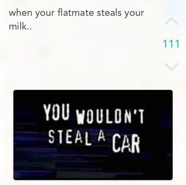 12746374_10205786881292500_500290697_n