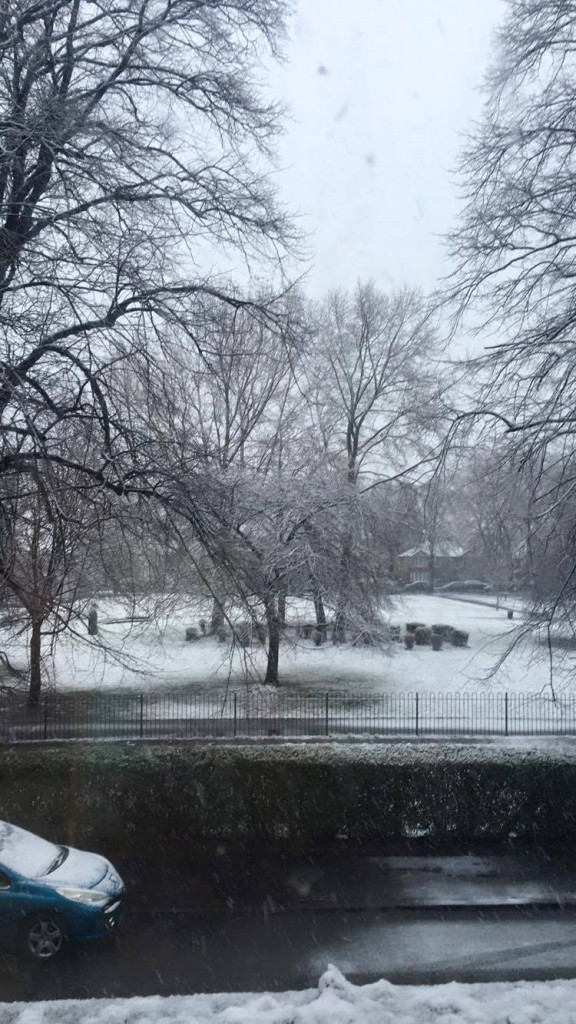 Walking in a winter wonderland