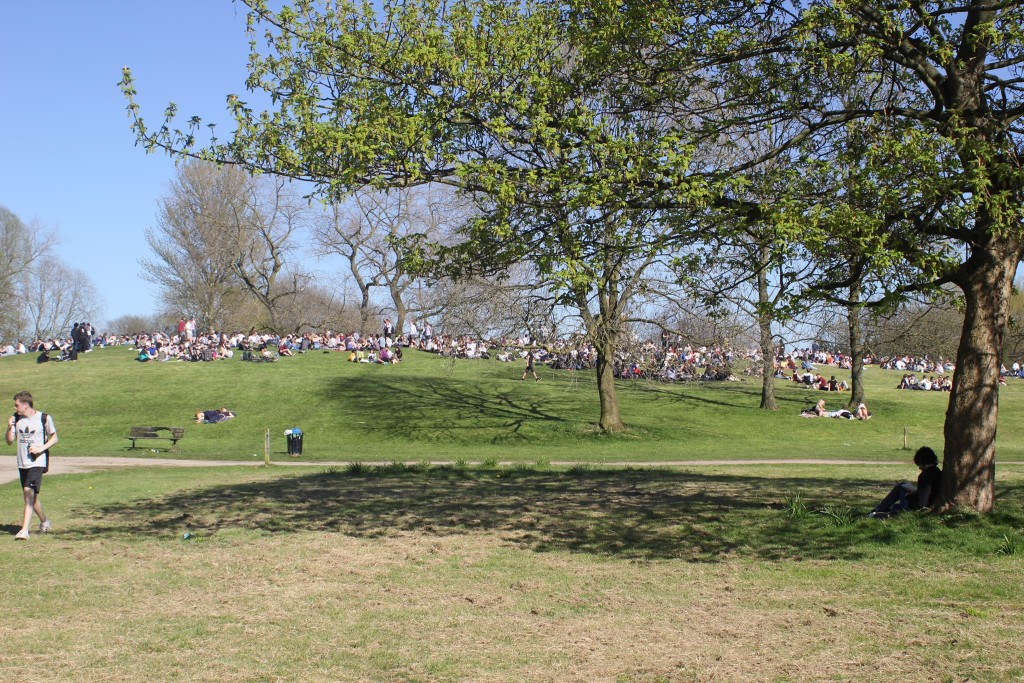 Swarms of people came to the park to smoke weed together