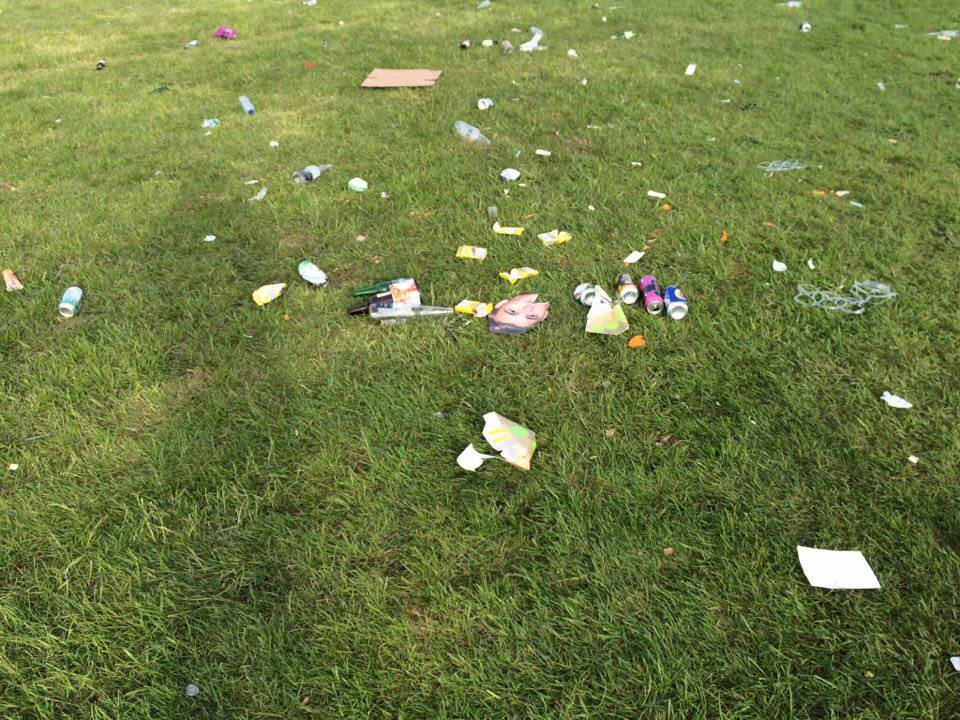 The whole park is covered with litter