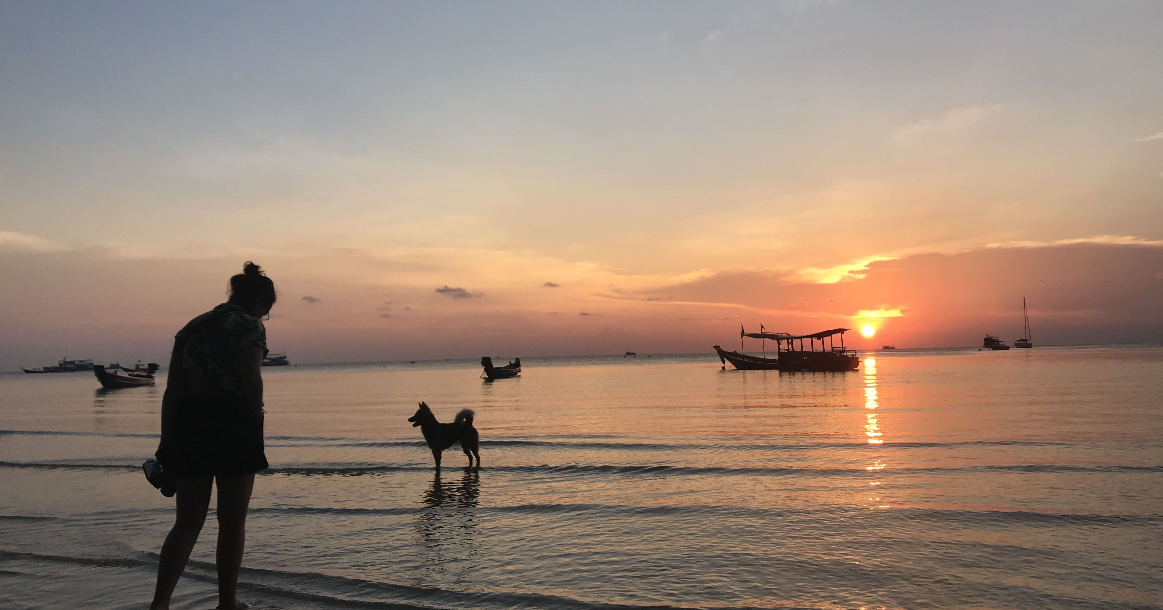 Image may contain: Silhouette, Sunrise, Dog, Canine, Pet, Animal, Mammal, Water, Sea, Ocean, Sunlight, Watercraft, Vessel, Red Sky, Sunset, Dusk, Dawn, Sky, Vehicle, Boat, Transportation, Person, Human, Outdoors, Nature