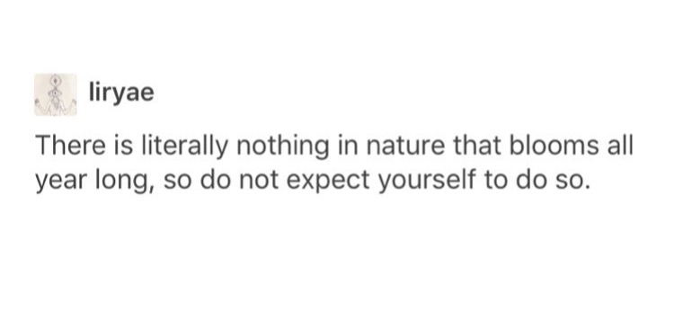 something to keep in mind in case you're on this journey as well