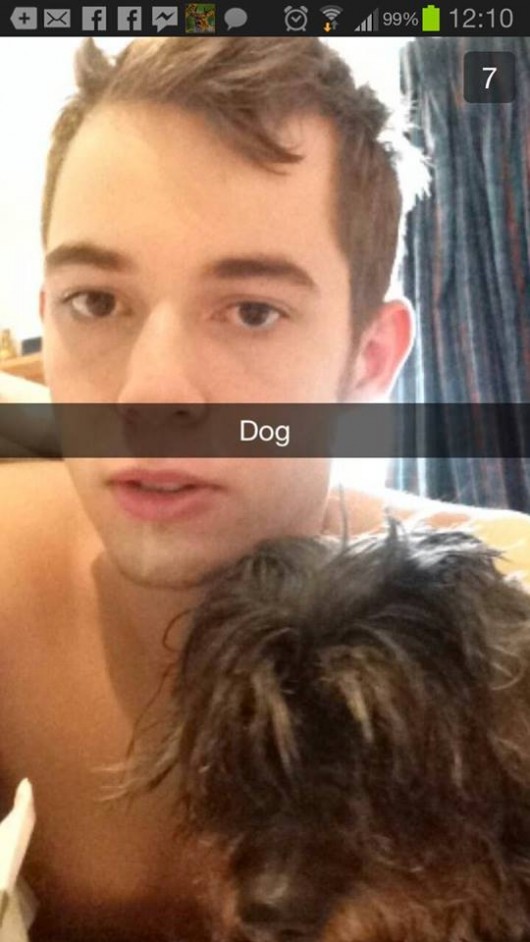 billy dog