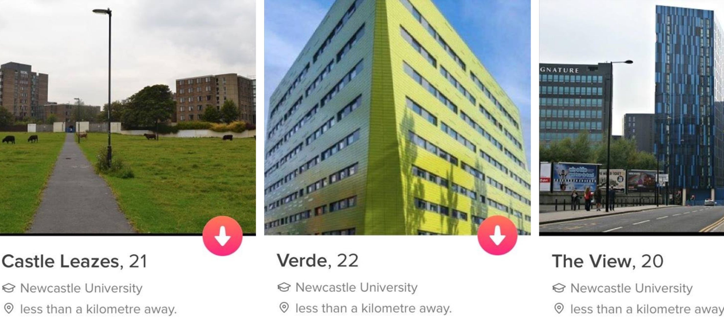 33 dejting 21