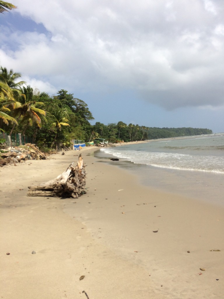 A glimpse of the scenic coast off Trinidad