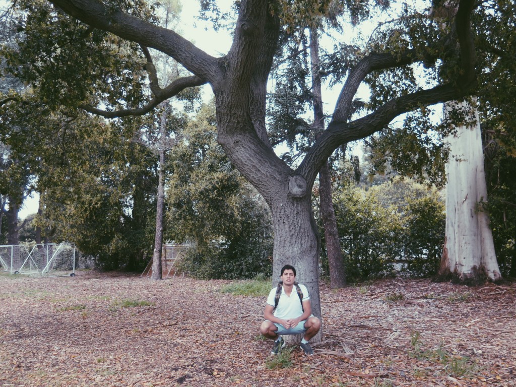 Processed with VSCOcam with p5 preset