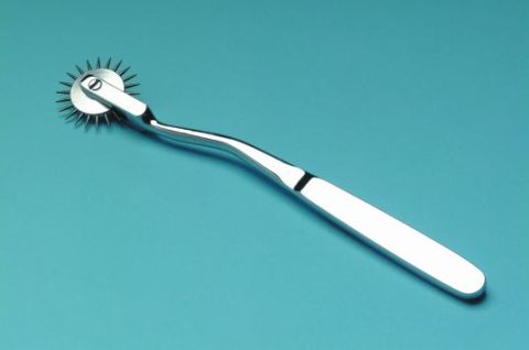 Some of those who practise BDSM use a pinwheel for pain and excitement.