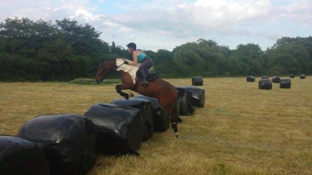 Can your horse do this?