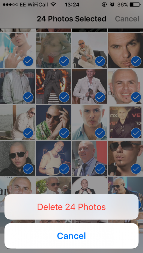 Pitbull is under appreciated