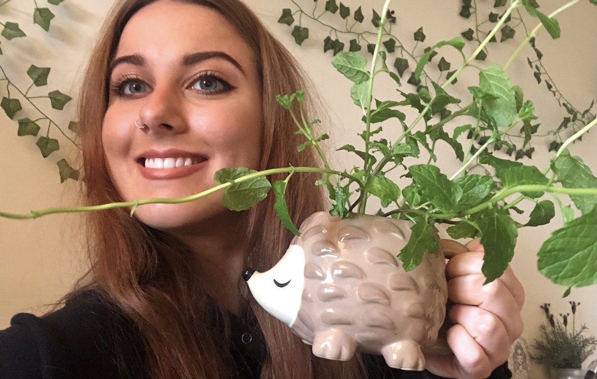 Here are the best places to buy house plants in Norwich