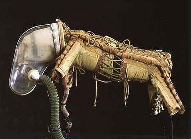 How to send a dog into space...