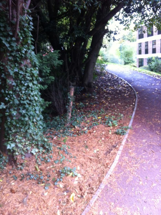 Creepiest places 1