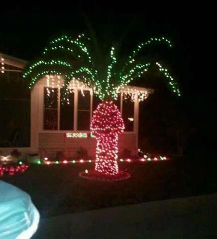 Someone got a bit excited with the decorating