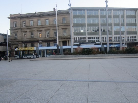 The elusive tram in it's natural habitat