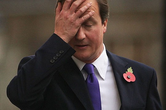 Some accuse Cameorn of having a pretty blinkered view on students