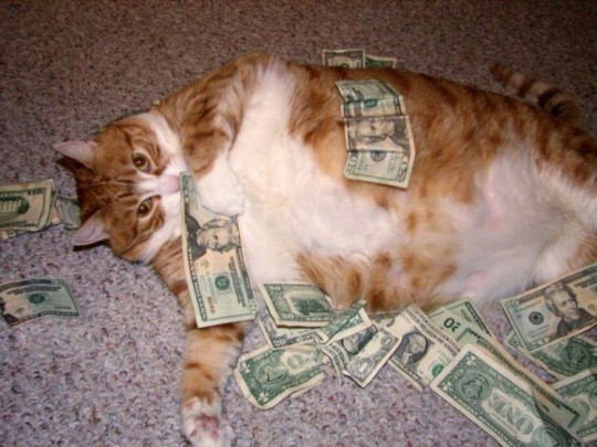 Stop feeding the fat-cats