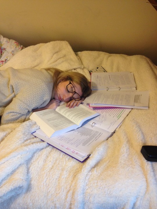 A procrastinapper in its natural habitat
