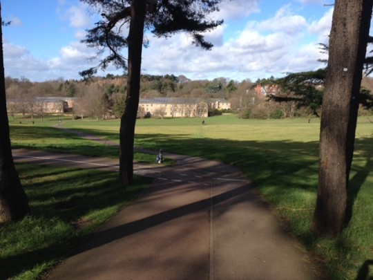 Get down on the Downs.