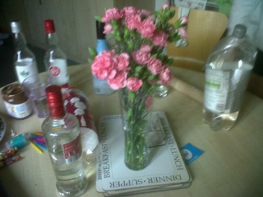 Roses are red, vodka is clear, poetry is lame, got you some flowers, here.