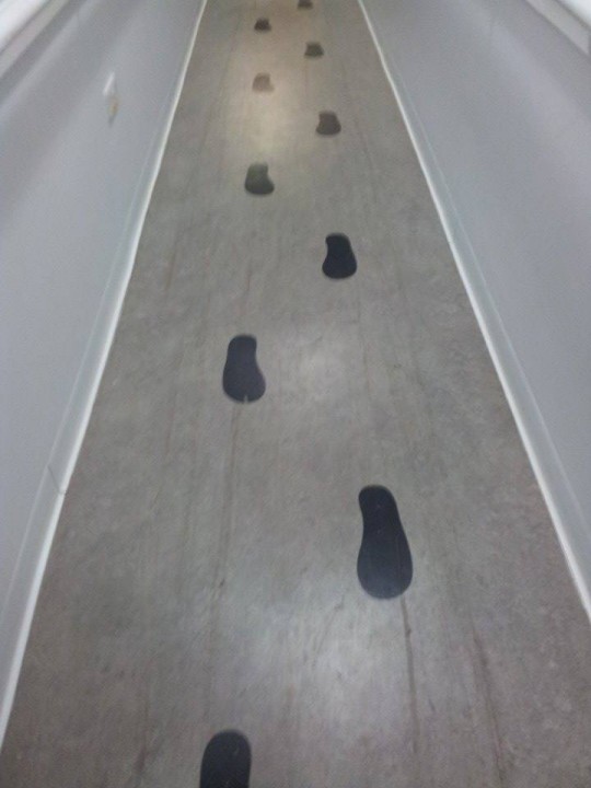 could these be the scratcher's steps?