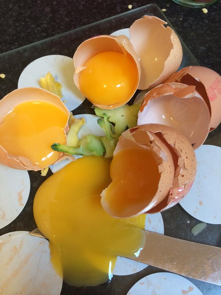 I didn't even learn to boil an egg properly