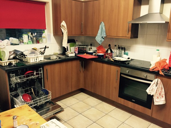 Doesn't every kitchen look like this?