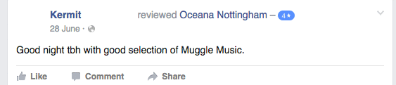 What exactly does Muggle music consist of?