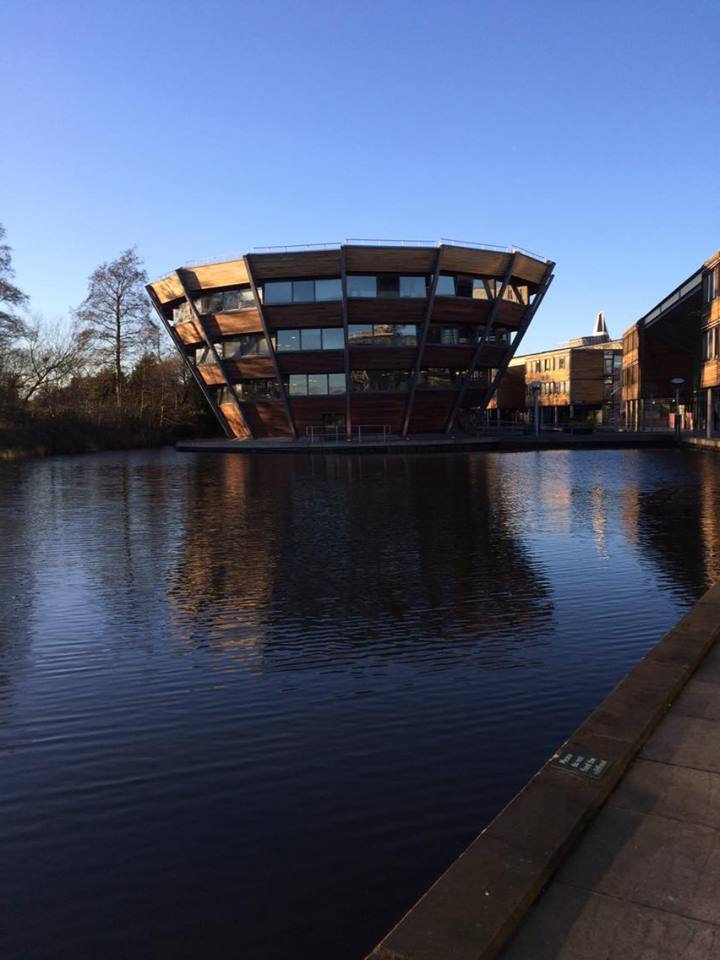 Hallward has nothing on the kaleidoscope that is Djangoly