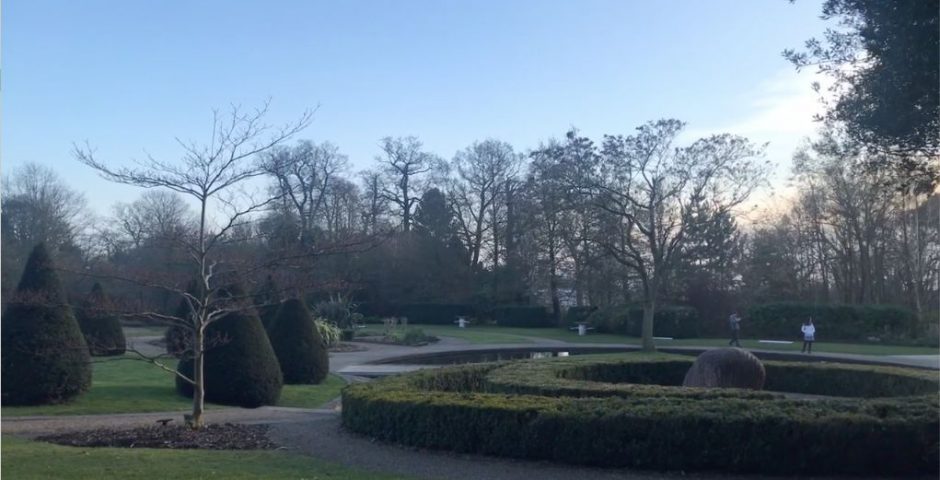 Image may contain: Conifer, Bush, Grove, Nature, Land, Woodland, Forest, Tree, Fence, Hedge, Vegetation, Lawn, Outdoors, Park, Person, Human, Grass, Plant