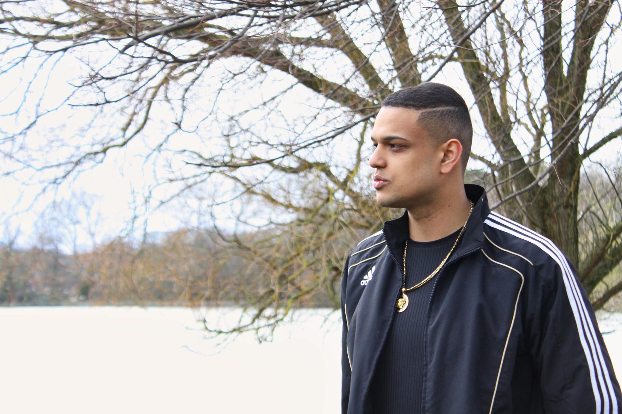 Image may contain: Tree, Plant, Long Sleeve, Home Decor, Jacket, Coat, Sleeve, Apparel, Clothing, Person, Human