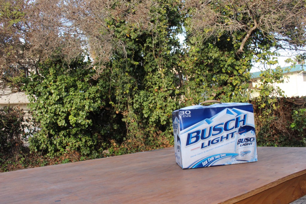 Busch Light in its natural habitat.