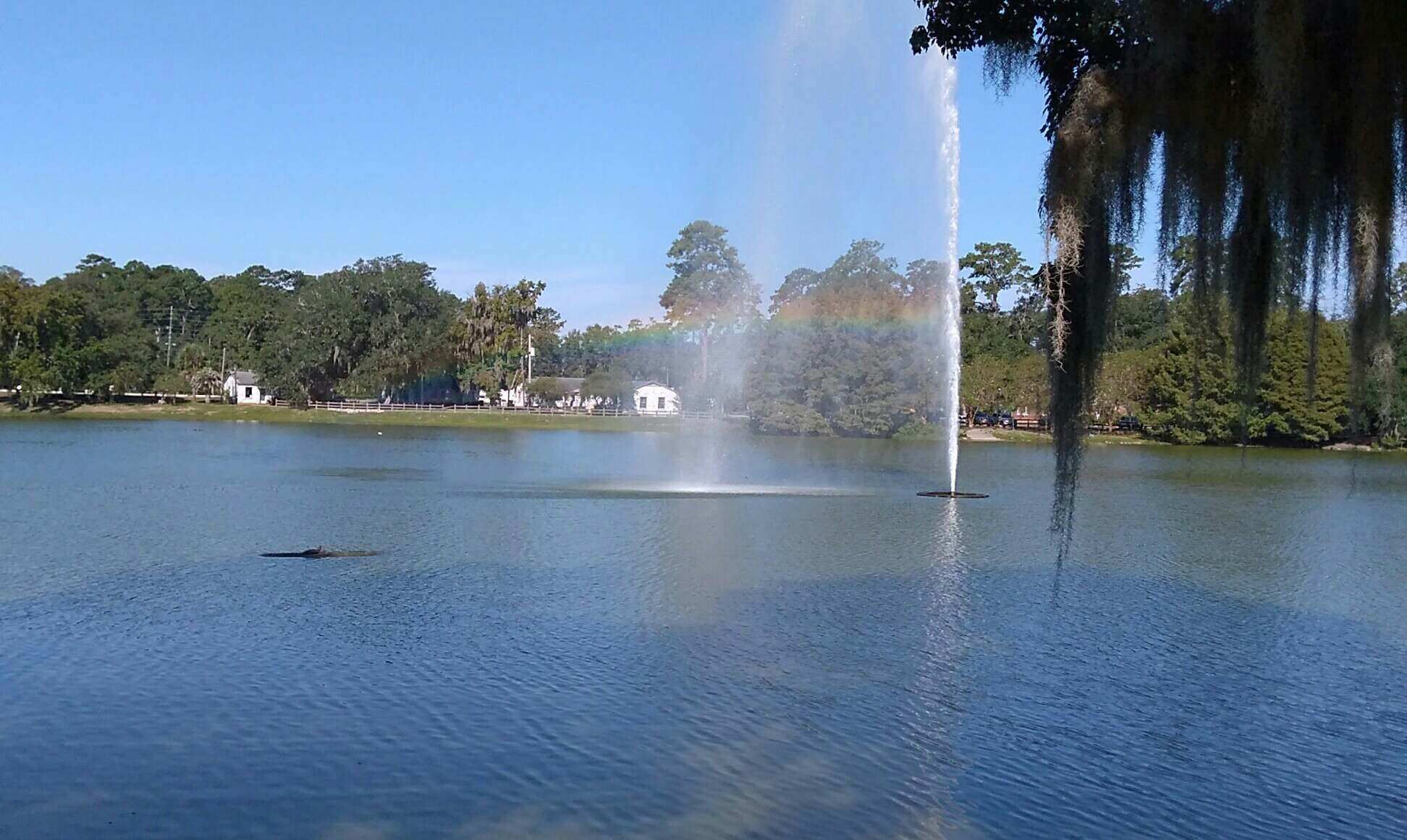 The clueless kid’s guide to FSU parents’ weekend