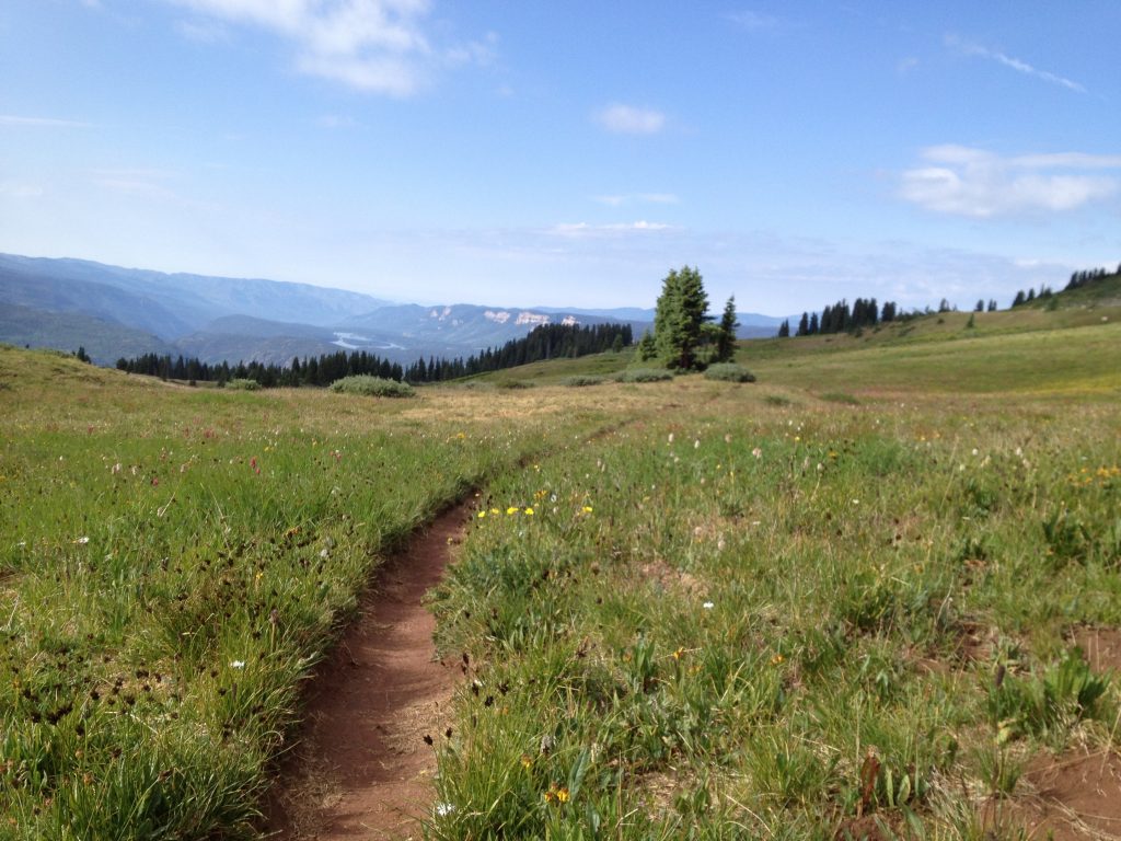 One of the many gorgeous views on the hike up to Engineer Mountain. July 2012.