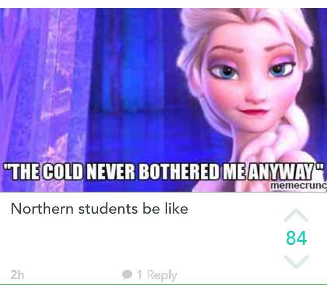 The cold never bothered me anyway