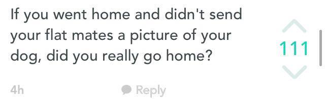 Let’s admit it – everyone does it