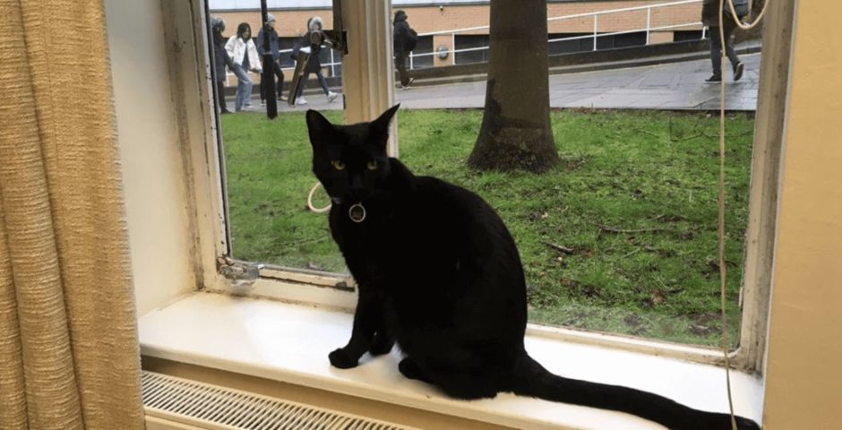 EXCLUSIVE Rolf the beloved campus cat  has been banned 