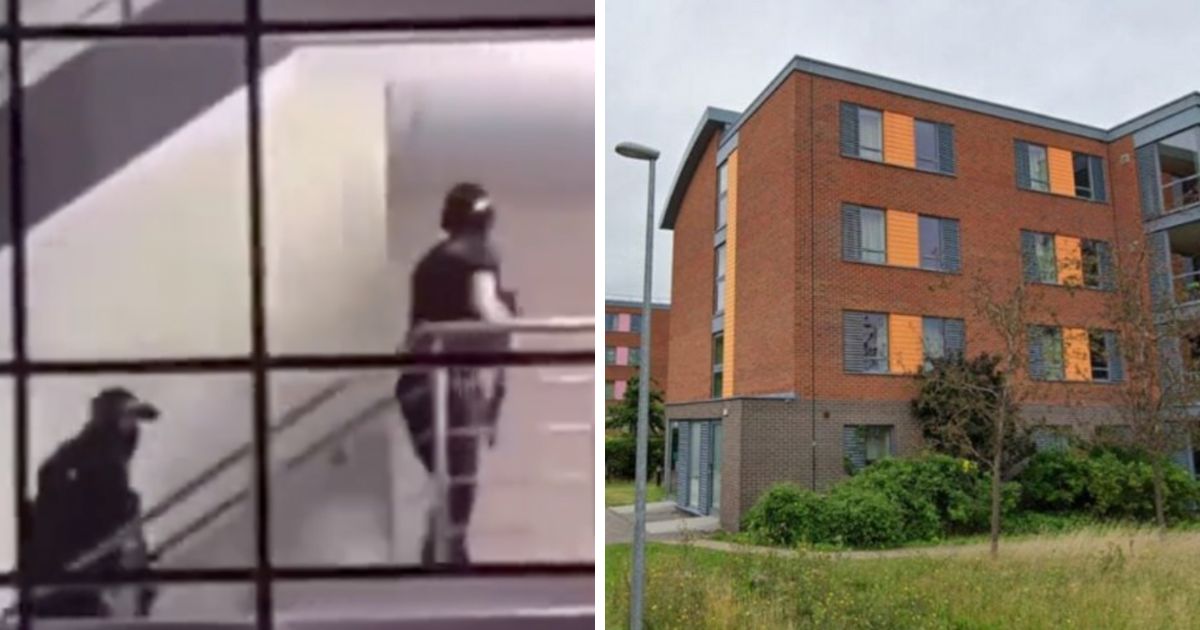 Warwick Uni student who stabbed another student in halls will not receive jail time - Vimarsana News