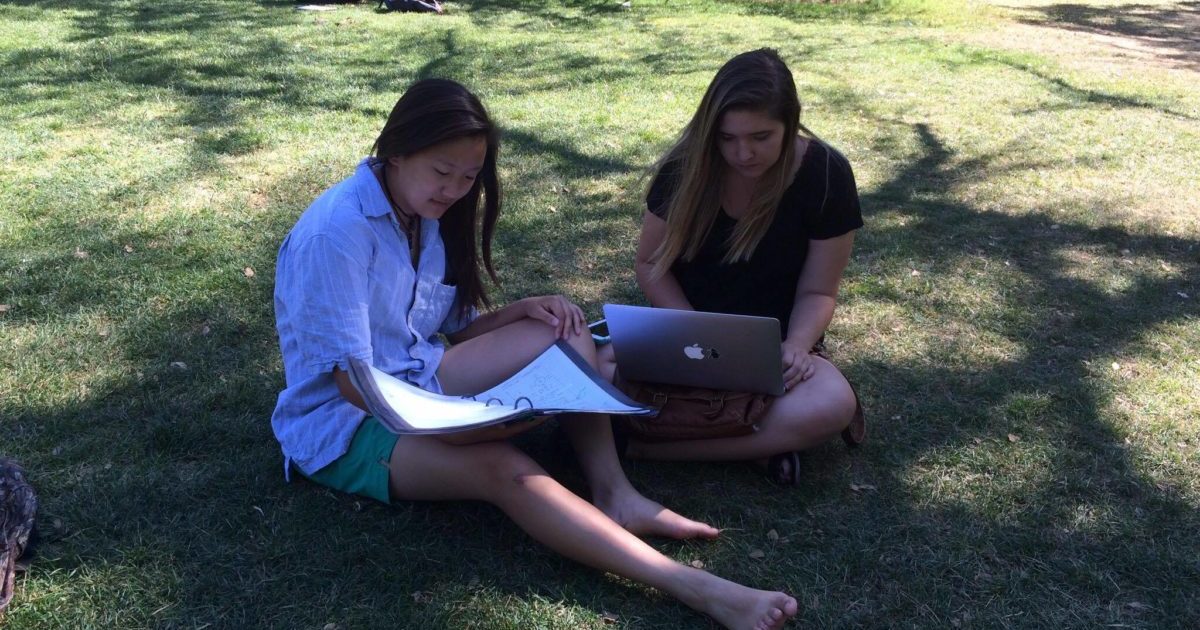 Your comprehensive guide to the best study spots on UC Davis campus