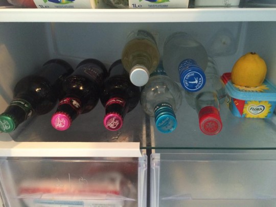 the average student fridge stocked with all the essentials
