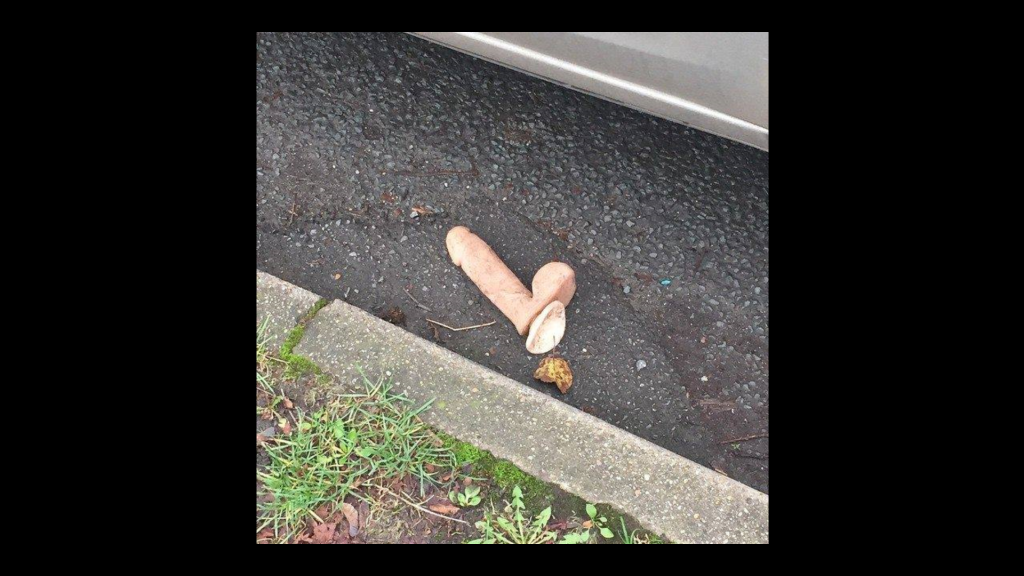 The phallic-shaped stimulator in question.