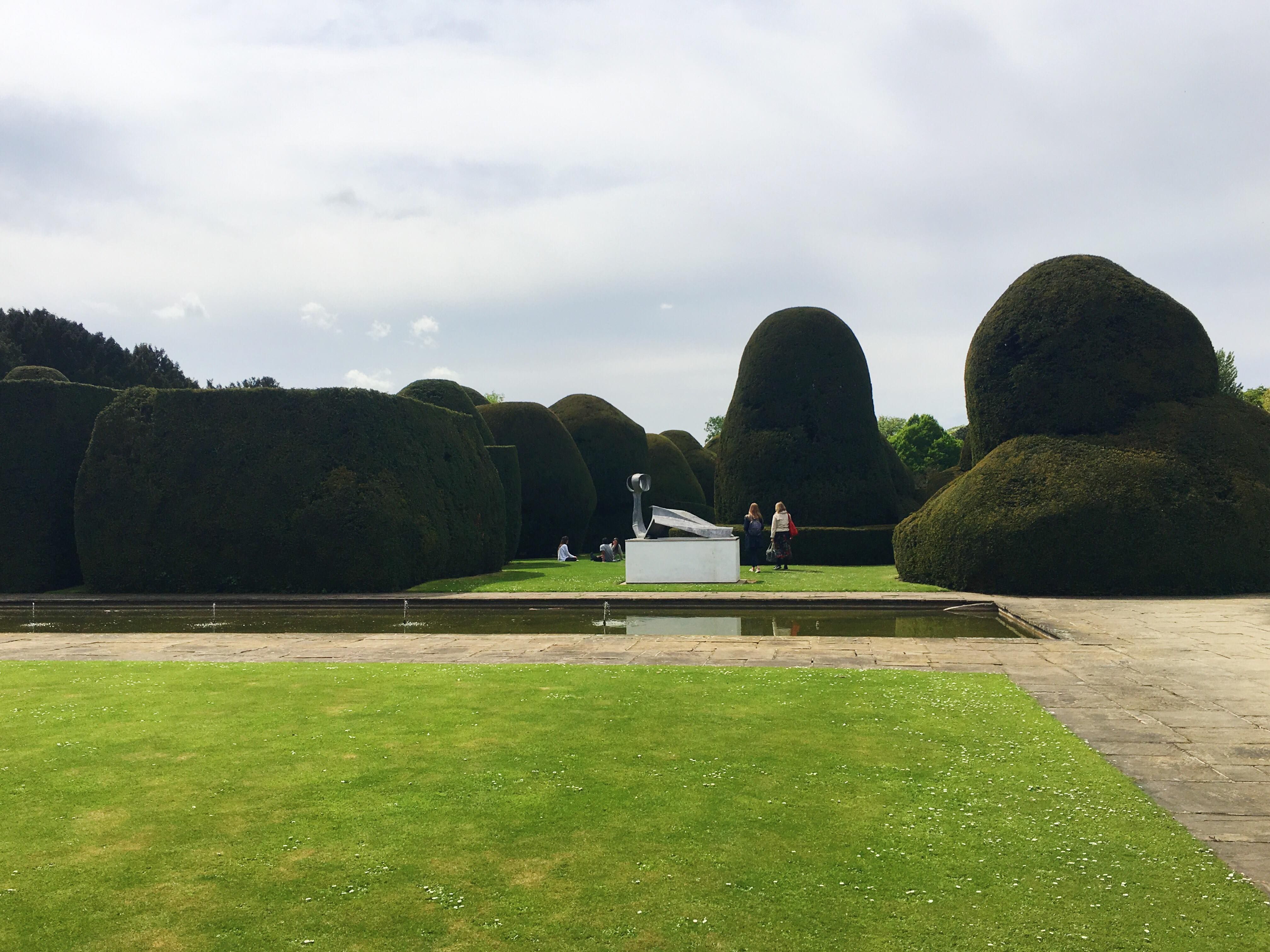 Image may contain: Vegetation, Plant, Flora, Bush