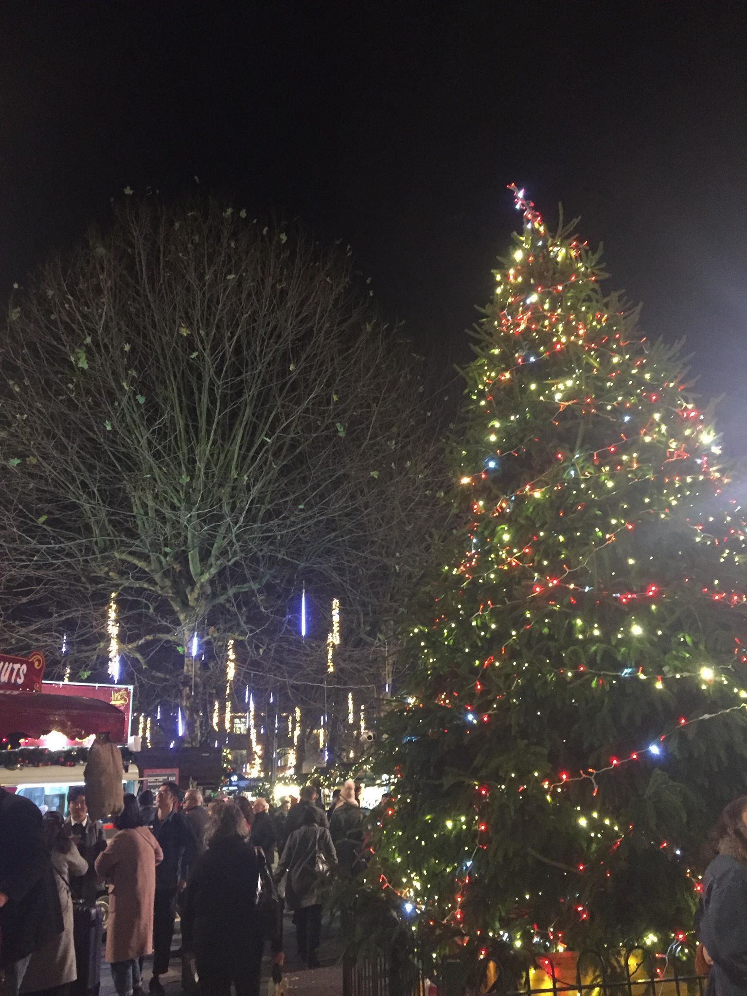 Image may contain: Crowd, Lighting, Night Life, Human, Person, Tree, Plant, Ornament, Christmas Tree
