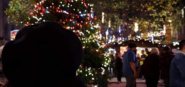 Image may contain: Portrait, Flower, Blossom, Petal, Photography, Photo, Vegetation, Nature, Female, Pedestrian, Path, Outdoors, Plant, Tree, Face, Lighting, Clothing, Apparel, Person, Human